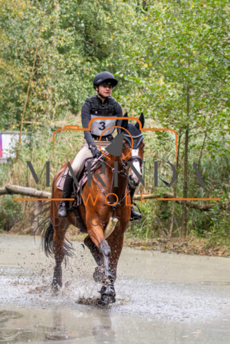 DSC_1650-Fullsize